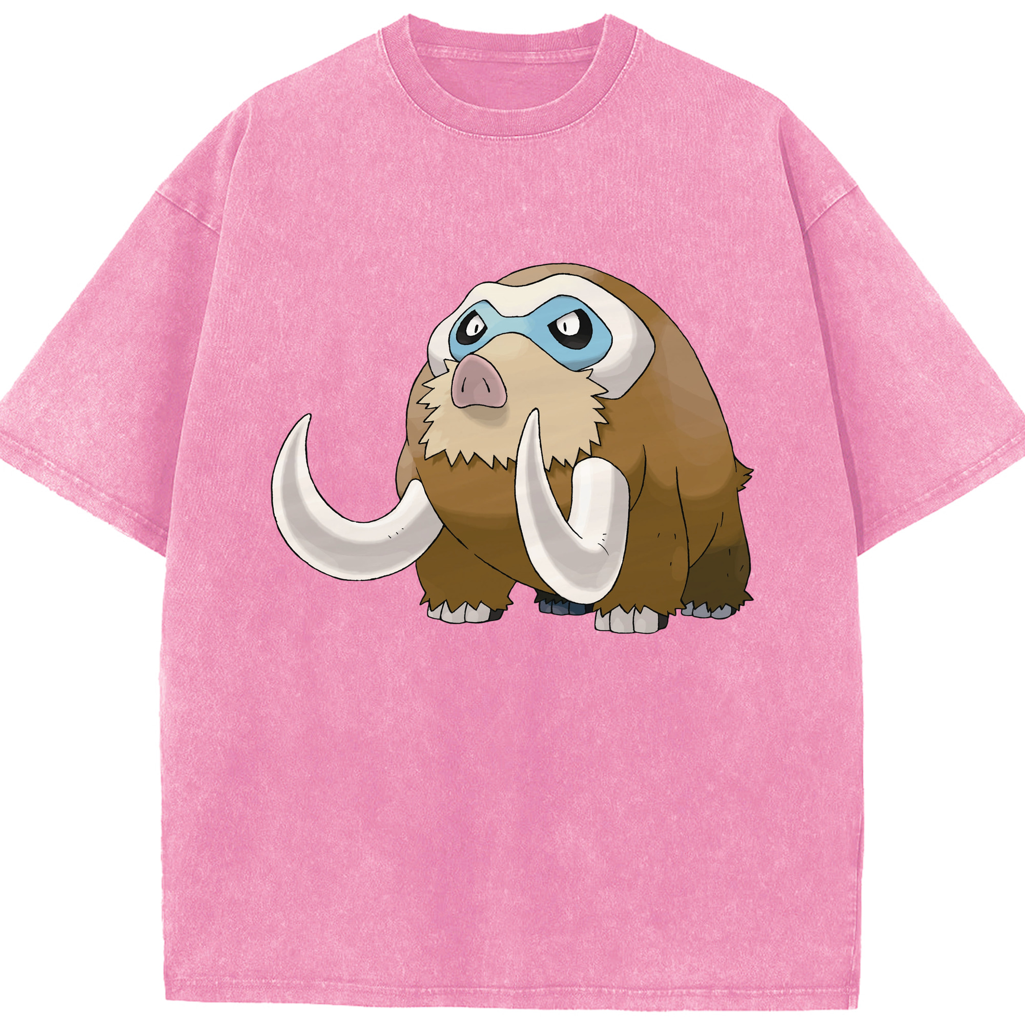 （画像用） ポケットモンスター Pokémon 綿100% ヴィンテージ風 半袖Tシャツ（フロントプリント）